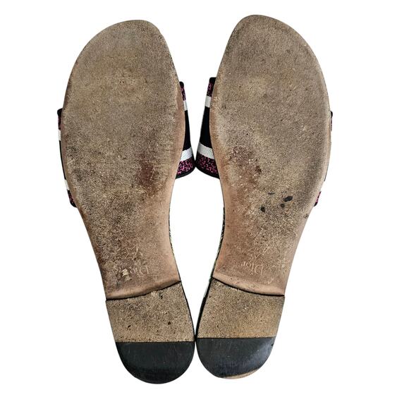 Christian Dior Dway Slide Flat Sandal Size 39 US 9 Pink White Leather Tiger - Picture 14 of 15